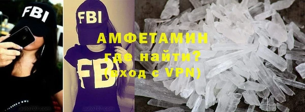 стаф Алзамай
