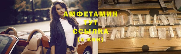 стаф Алзамай