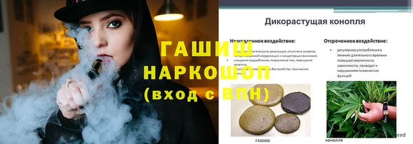 молекула духа Алексеевка