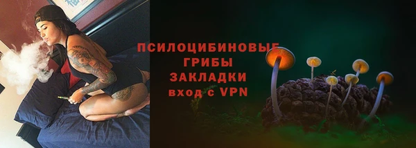 стаф Алзамай
