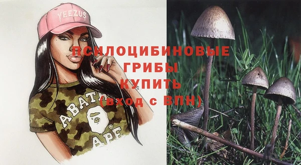 бошки Алексин