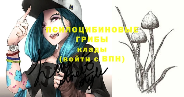 молекула духа Алексеевка