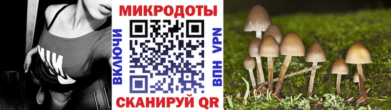 Псилоцибиновые грибы MAGIC MUSHROOMS  где можно купить наркотик  Славск 